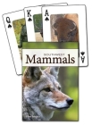 Mammals of the Southwest (Nature's Wild Cards) Cover Image
