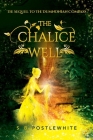 The Chalice Well Cover Image