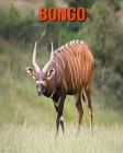 Bongo: Learn About Bongo and Enjoy Colorful Pictures By Diane Jackson Cover Image