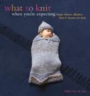 What to Knit When You're Expecting: Simple Mittens, Blankets, Hats & Sweaters for Baby By Nikki Van De Car Cover Image