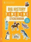 The Big History Timeline Stickerbook: From the Big Bang to the Present Day; 14 Billion Years on One Amazing Timeline! By Christopher Lloyd, Andy Forshaw (Illustrator) Cover Image