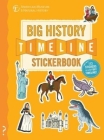 The Big History Timeline Stickerbook: From the Big Bang to the Present Day; 14 Billion Years on One Amazing Timeline! Cover Image