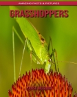 Grasshoppers: Amazing Facts & Pictures By Louise McGuire Cover Image