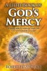 A Little Book of God's Mercy: Amazing Bible Revelations About Hell, End Times, And The Last Day Cover Image