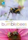 RSPB Spotlight Bumblebees Cover Image