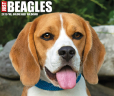 Beagles 2025 6.2 X 5.4 Box Calendar By Willow Creek Press Cover Image