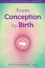 From Conception to Birth By Cathy Chapman Cover Image