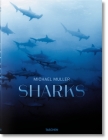 Michael Muller. Requins By Arty Nelson, Alison Kock, Philippe Cousteau Jr Cover Image