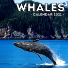 Whales Calendar 2021: 16-Month Calendar, Cute Gift Idea For Whales Lovers Women & Men By Busy Potato Press Cover Image