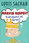 Marvin Redpost: Kidnapped at Birth? (Marvin Redpost (Prebound) #1) By Louis Sachar, Neal Hughes (Illustrator) Cover Image