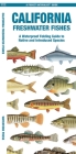 California Freshwater Fishes: A Waterproof Folding Guide to Native and Introduced Species (Pocket Naturalist Guides) Cover Image
