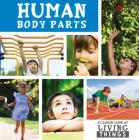 Human Body Parts (Closer Look at Living Things) By Steffi Cavell-Clarke Cover Image