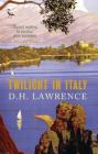Twilight in Italy By D. H. Lawrence, Jan Morris (Foreword by) Cover Image