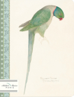 Perruche-Parakeet: Watercolor of Ring Necked Parakeet Circa 1835 by Edward Lear (1812-1888) By Alibabette Editions Paris Cover Image