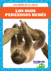 Los Osos Perezosos Bebés (Sloth Babies) By Genevieve Nilsen Cover Image