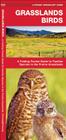 Grasslands Birds: A Folding Pocket Guide to Familiar Species Found in Prairie Grasslands (Pocket Naturalist Guides) By James Kavanagh, Waterford Press Cover Image