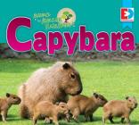 Animals of the Amazon Rainforest: Capybara (Eyediscover) By Katie Gillespie Cover Image
