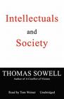 Intellectuals and Society Cover Image