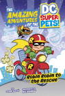 Robin Robin to the Rescue By Steve Korté, Art Baltazar (Illustrator) Cover Image