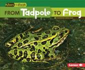 From Tadpole to Frog (Start to Finish) By Shannon Zemlicka Cover Image