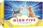 High Five: 10 Pop-up Notecards & Envelopes By Chronicle Books Cover Image