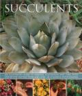 Succulents: An Illustrated Guide to Varieties, Cultivation and Care, with Step-By-Step Instructions and Over 145 Stunning Photogra By Terry Hewitt Cover Image