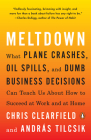 Meltdown: What Plane Crashes, Oil Spills, and Dumb Business Decisions Can Teach Us About How to Succeed at Work and at Home Cover Image