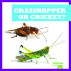 Grasshopper or Cricket? (Spot the Differences) By Jamie Rice Cover Image