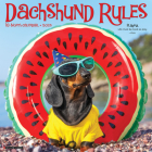 Dachshund Rules 2025 12 X 12 Wall Calendar By Willow Creek Press Cover Image