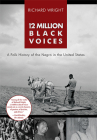 12 Million Black Voices Cover Image