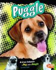 Puggle: A Cross Between a Pug and a Beagle (Designer Dogs) By Molly Kolpin, Tanya Dewey (Consultant) Cover Image