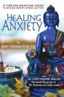 Healing Anxiety: A Tibetan Medicine Guide to Healing Anxiety, Stress and PTSD By Mary Friedman Ryan Cover Image