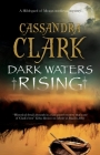 Dark Waters Rising (Abbess of Meaux Mystery #12) By Cassandra Clark Cover Image