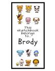 Brody Sketchbook: Personalized Animals Sketchbook with Name: 120 Pages Cover Image