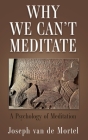 Why We Can't Meditate: A Psychology of Meditation Cover Image
