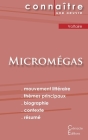 Fiche de lecture Micromégas de Voltaire (Analyse littéraire de référence et résumé complet) Cover Image