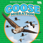 Goose Migration By Rachel Rose Cover Image