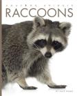 Amazing Animals: Raccoons By Kate Riggs Cover Image