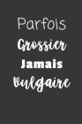 Parfois Grossier Jamais Vulgaire: Carnet de notes - 124 pages lignées - format 15,24 x 22,89 cm - Message Sarcastique Cover Image