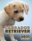 Labrador Retriever 2021 Calendar Cover Image