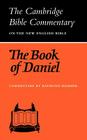 The Book of Daniel By Raymond Hammer (Commentaries by) Cover Image