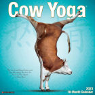 Cow Yoga 2023 Wall Calendar By Willow Creek Press Cover Image