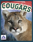Cougars By Sophie Geister-Jones Cover Image