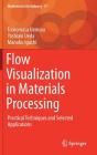 Flow Visualization in Materials Processing: Practical Techniques and Selected Applications (Mathematics for Industry #27) Cover Image