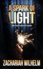 A Spark of Light: Short Stories to Brighten the Darkness By Jenneth Dyck (Illustrator), Zachariah Wilhelm Cover Image