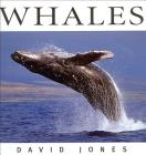 Whales (Wildlife) By David Jones Cover Image