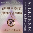 Guardian Angel Files Books 1 and 2 Spirit's Bane and Kindred Spirits Lib/E: A Young Adult Christian Fantasy Novel Featuring Guardian Angels By Julie C. Gilbert, Reuben Corbett (Read by) Cover Image