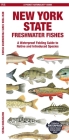 New York State Freshwater Fishes: A Waterproof Folding Guide to Native and Introduced Species By Waterford Press Cover Image