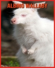 Albino Wallaby: Amazing Pictures & Fun Facts on Animals in Nature By Laura Musso Cover Image