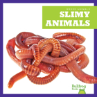 Slimy Animals By Katie Chanez Cover Image